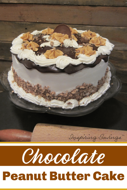 The Best Chocolate Peanut Butter Cake Recipe Made From Scratch