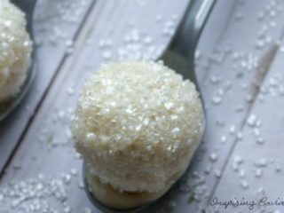 Cake Pops - The Southern Spoonful