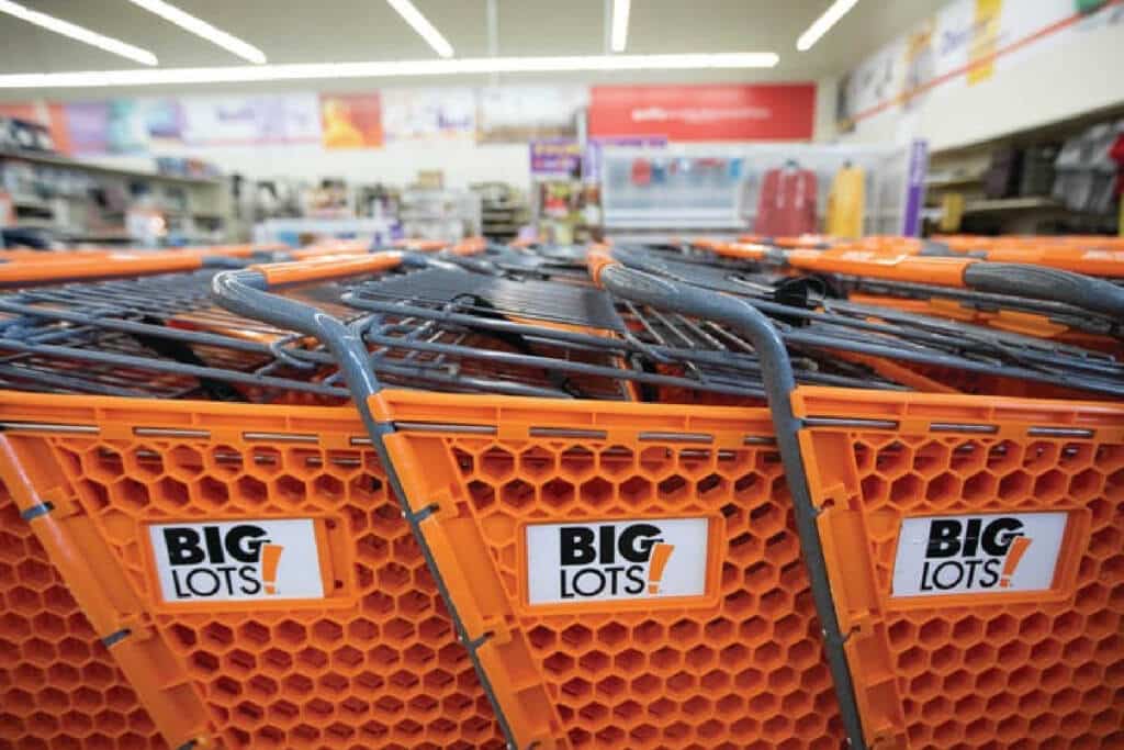 Big Lots Store Carts