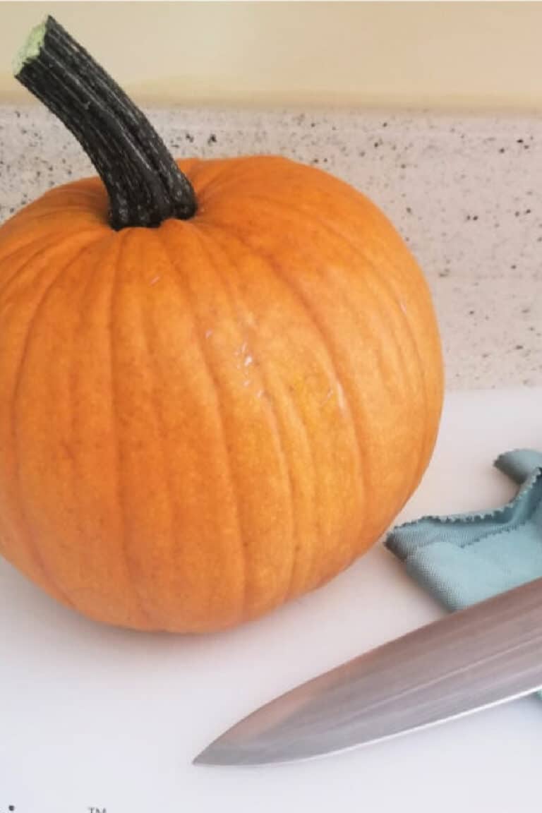 ready to cut pumpkin