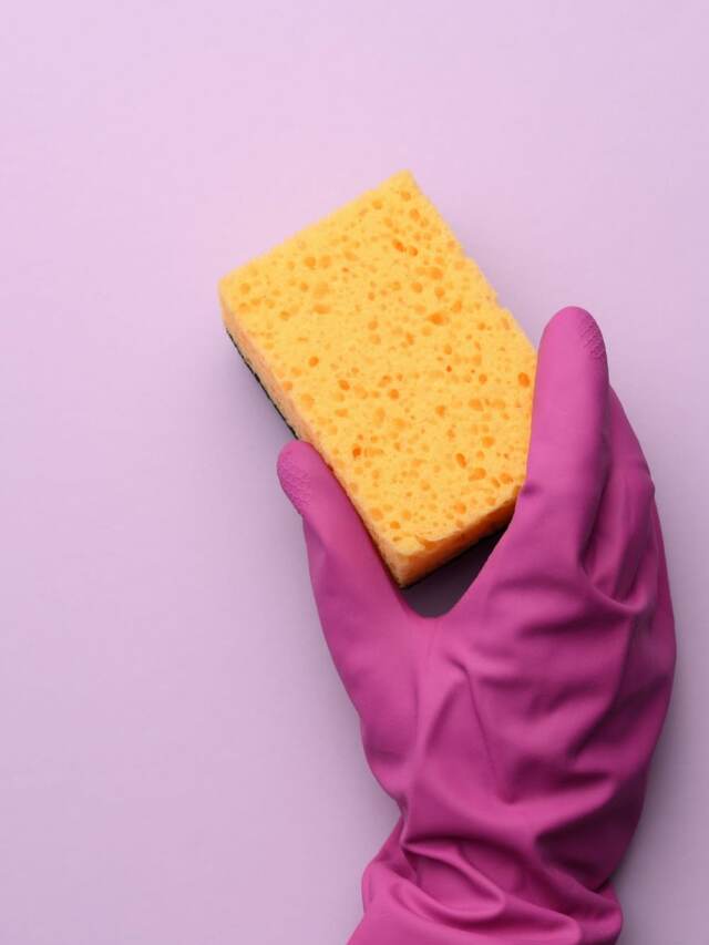 cropped Cleaning your sponges